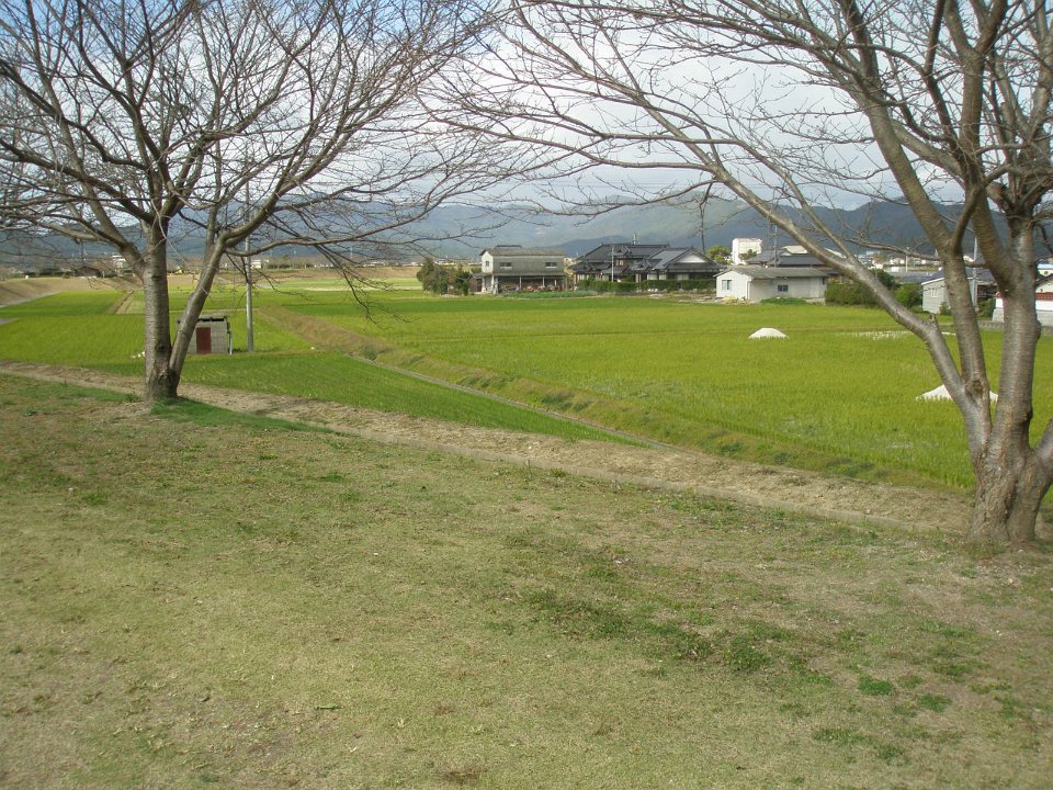 PB060897