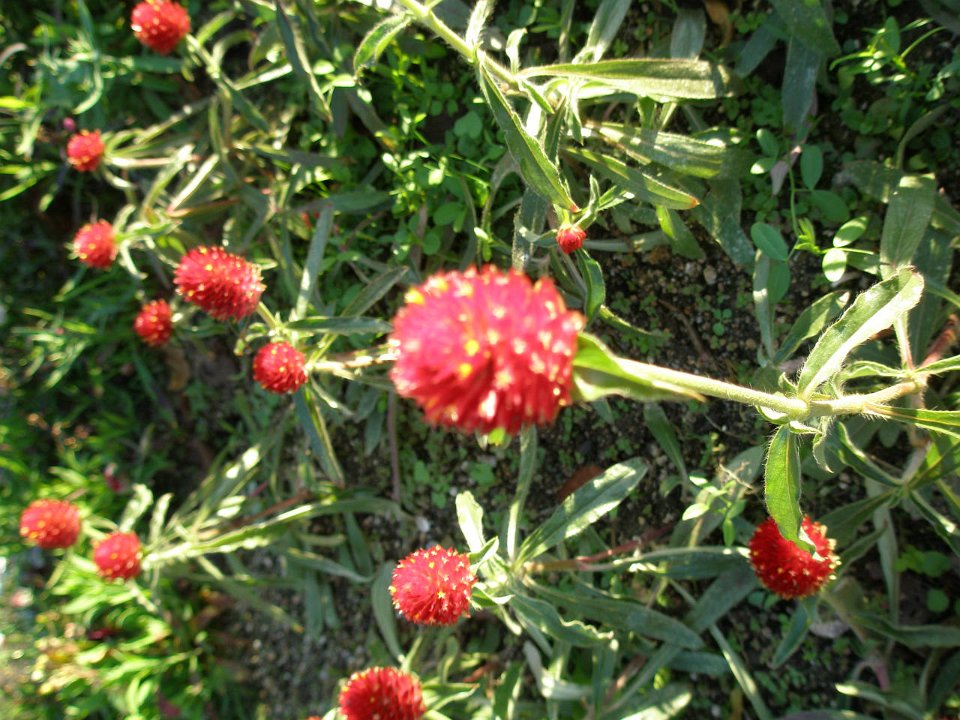 PB071104