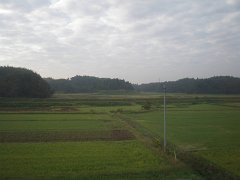 PA270156