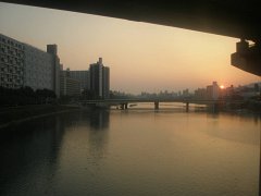 PB020539