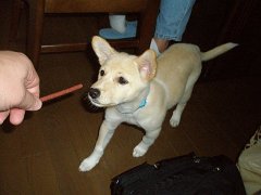 PB050830