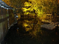 PB070995