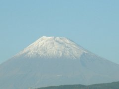 PB081176