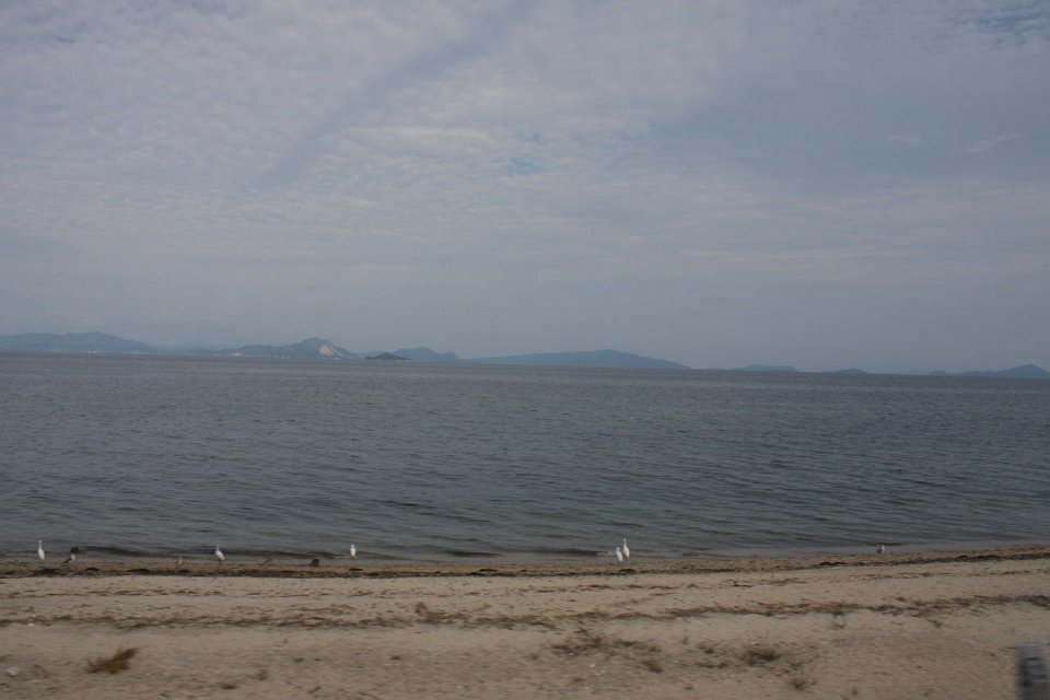 IMG 3720