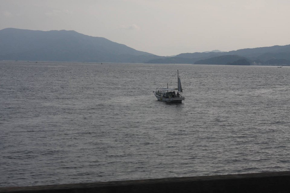 IMG 3752