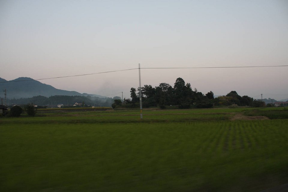 IMG 4477