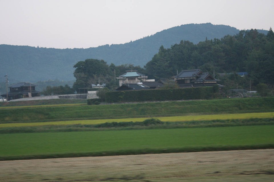 IMG 4480