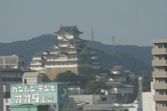 IMG 2939