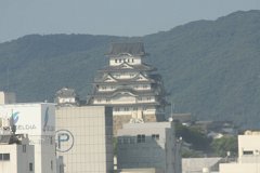 IMG 2942