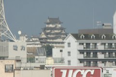 IMG 2944