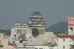 IMG 2946
