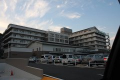 IMG 2966