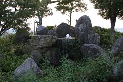 IMG 3082