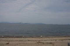 IMG 3720