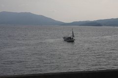 IMG 3752