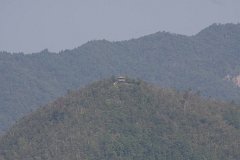 IMG 4449