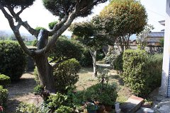 IMG 4458
