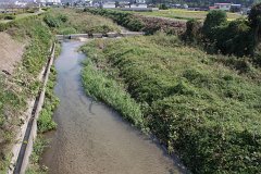 IMG 4461