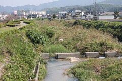 IMG 4465