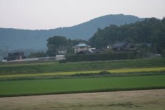 IMG 4479