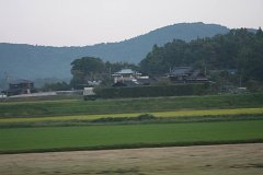IMG 4480