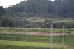 IMG 4486