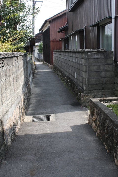IMG 2970