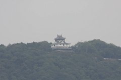 IMG 2978