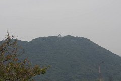 IMG 2979