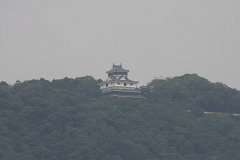 IMG 2980