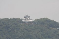 IMG 2981