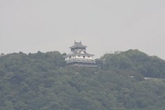 IMG 2984