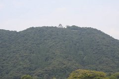 IMG 3014
