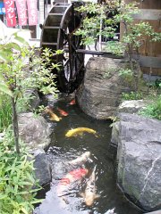 IMG 3026-1