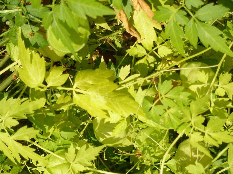PB030591
