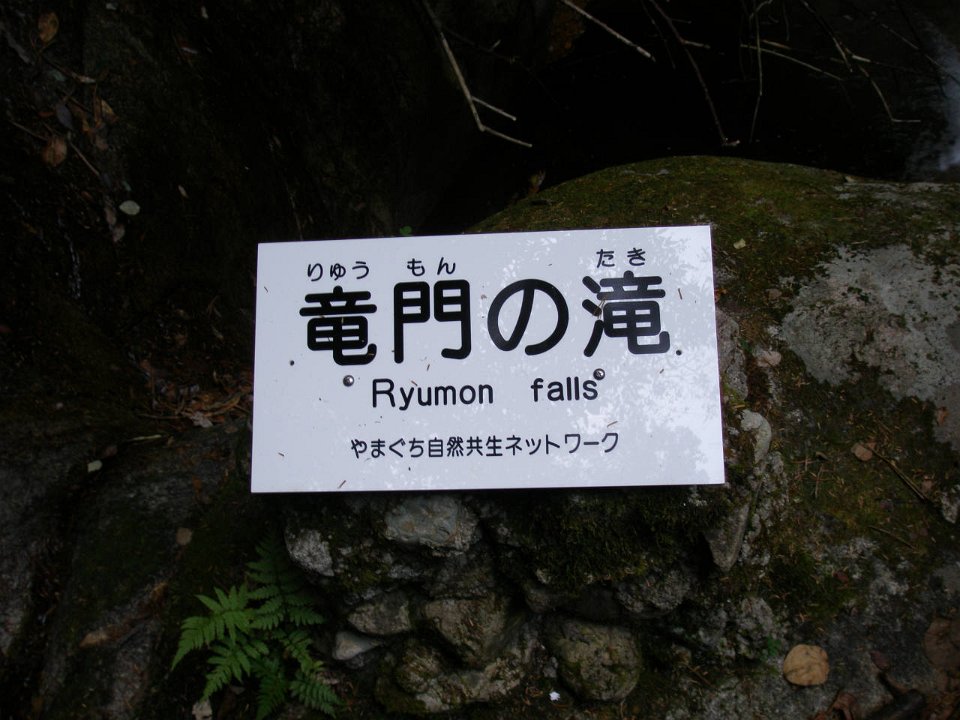 PB030704