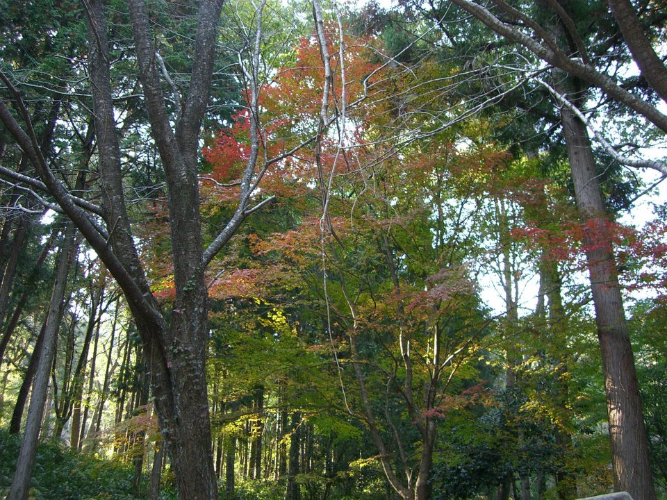 PB030719-CIMG0205