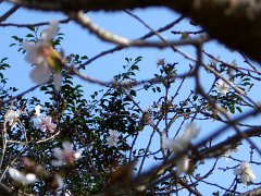 PB030559-CIMG0170