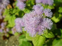 PB030569