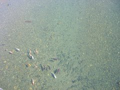 PB030608-CIMG0175