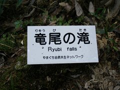 PB030684