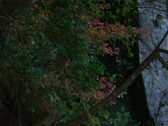 PB030687-CIMG0198
