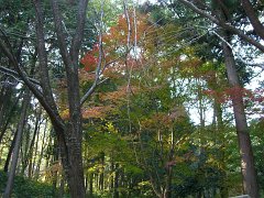 PB030719-CIMG0205