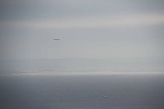 E7D 1356