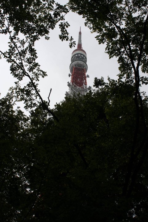 IMG 2824