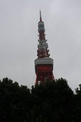 IMG 2754