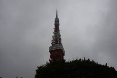 IMG 2756