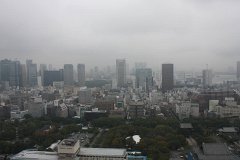 IMG 2775
