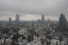 IMG 2784