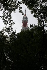 IMG 2824